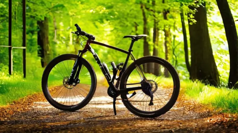 Dos bicicletas de montaña están posicionadas en un camino de grava rodeado de vegetación, una con acabado negro mate y la otra en rojo brillante, invitando a la exploración