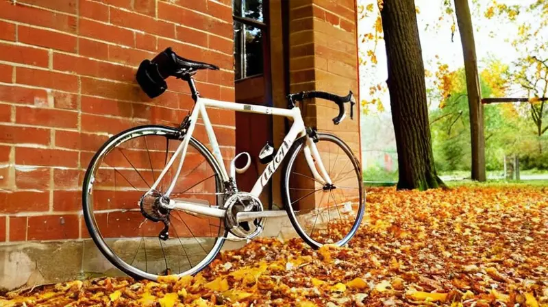 Una bicicleta de carretera renovada brilla bajo la luz del sol, con un marco de aluminio pulido y detalles en fibra de carbono
