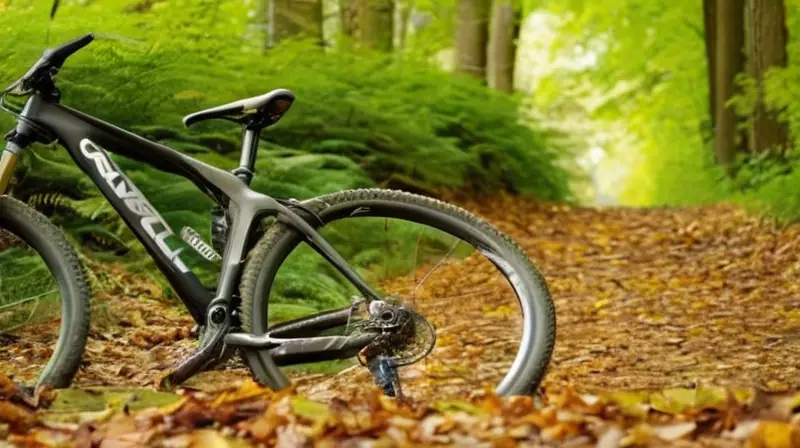 Bicicleta de montaña elegante